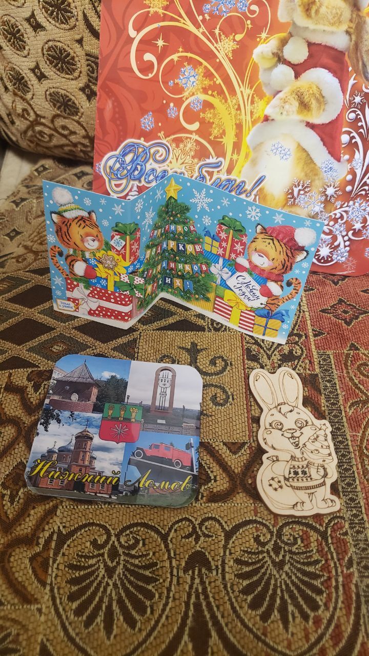 ADM. Nizhny Lomov (Penza region) - Moscow. What's your favorite octopus? - My, Secret Santa, Gift exchange, Presents, New Year