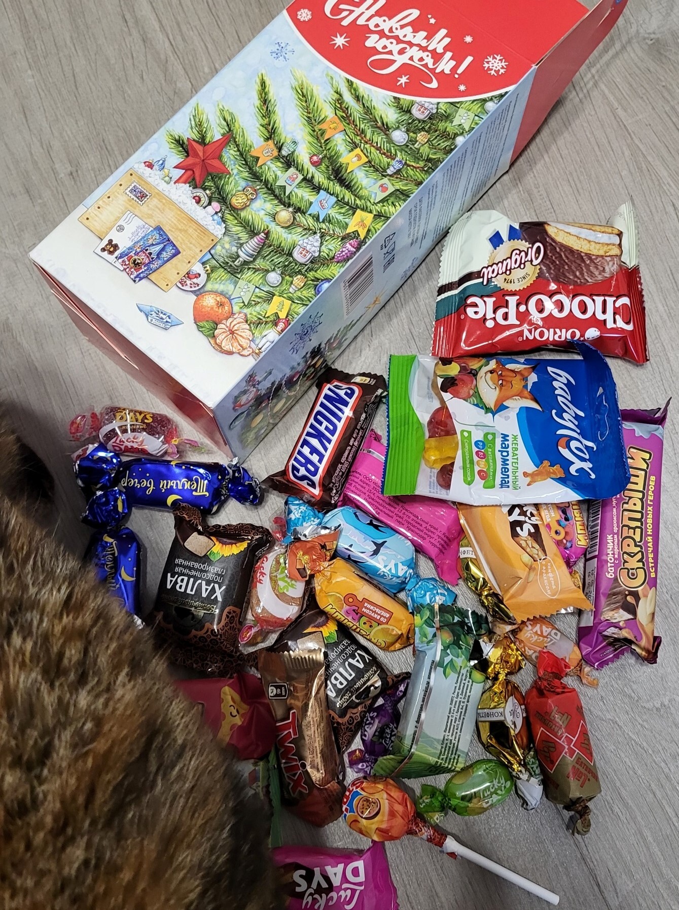 ADM 22/23 Belgorod - Orenburg - My, Gift exchange, cat, Secret Santa, Longpost