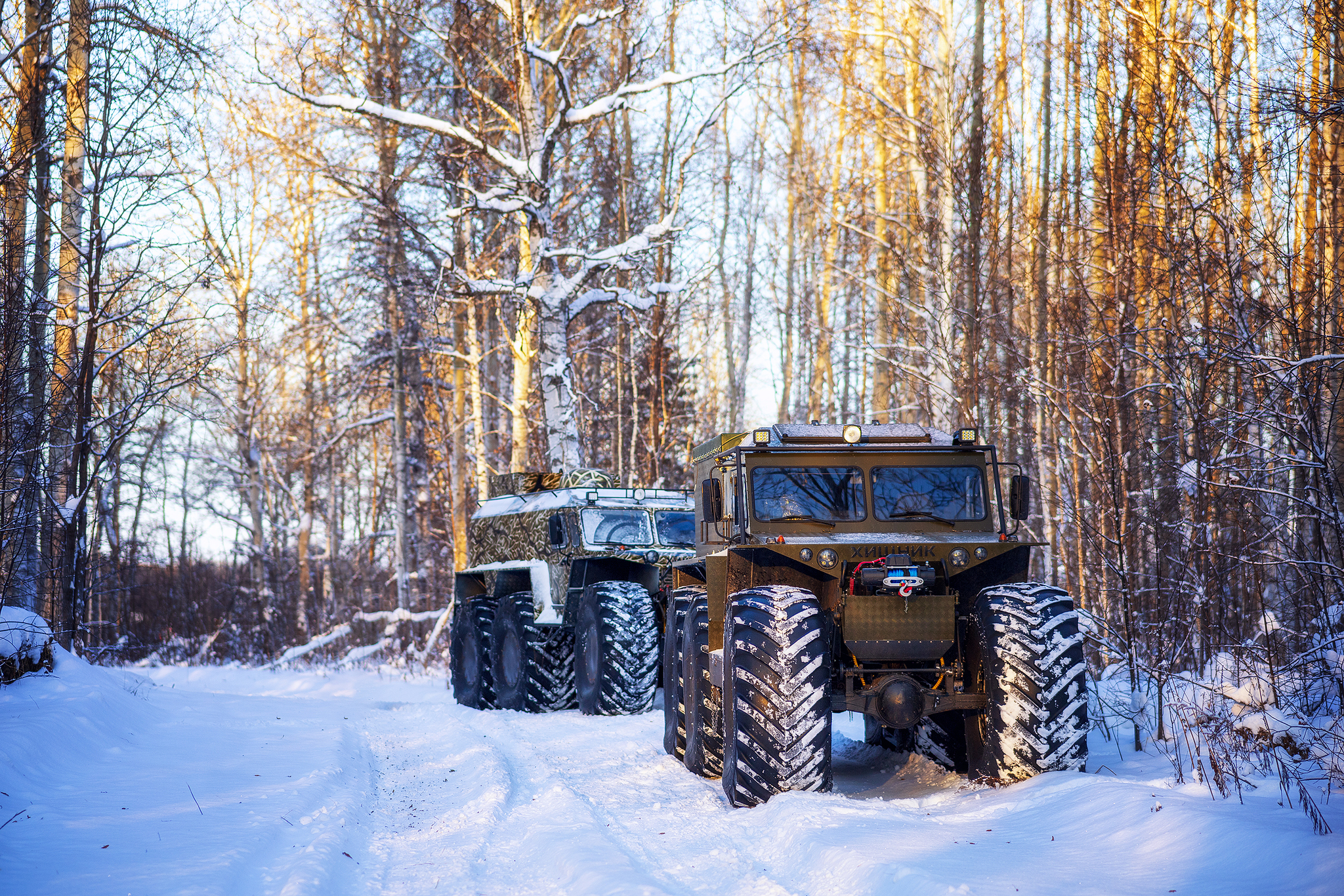 Predators in the wild - My, All-terrain vehicle Predator, The photo, Tobolsk, Longpost
