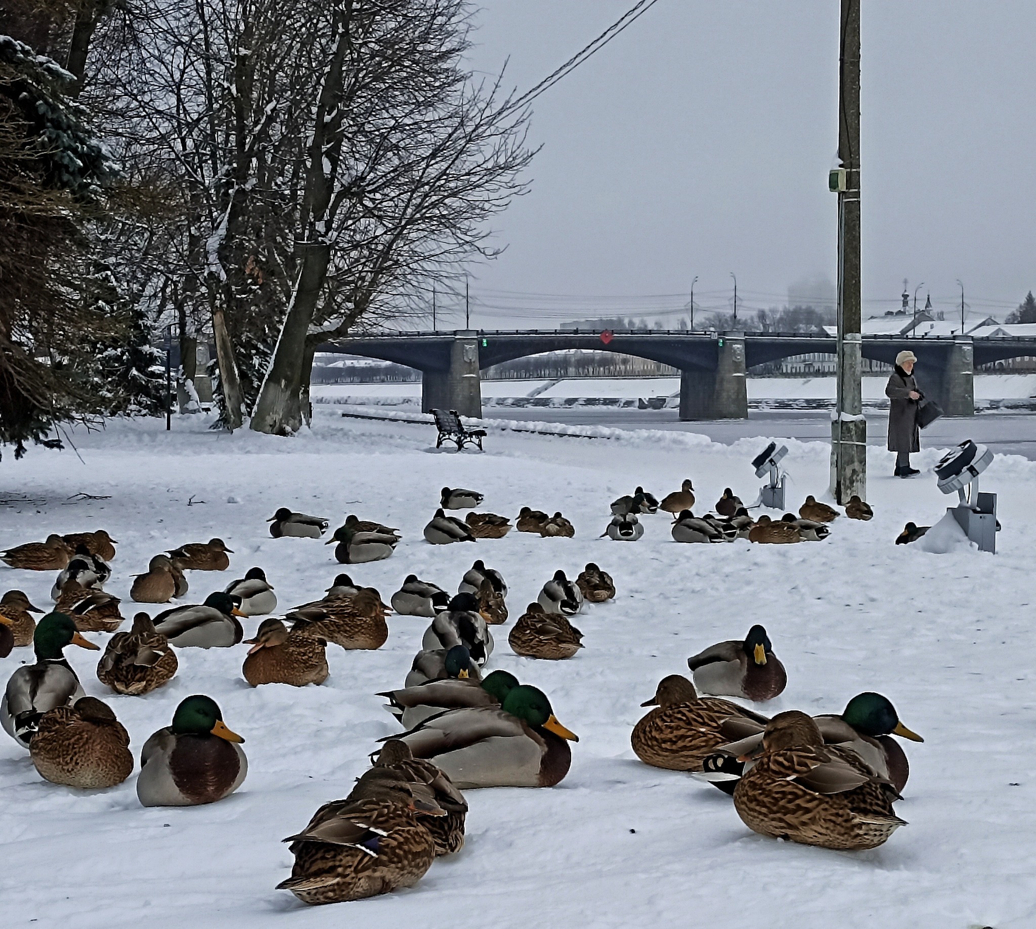 Tver: the advantages of spontaneity, Mikhail Krug and the first imperial microdistrict - My, Tourism, Travels, Tver, Russia, Winter, Travel across Russia, Longpost, The photo