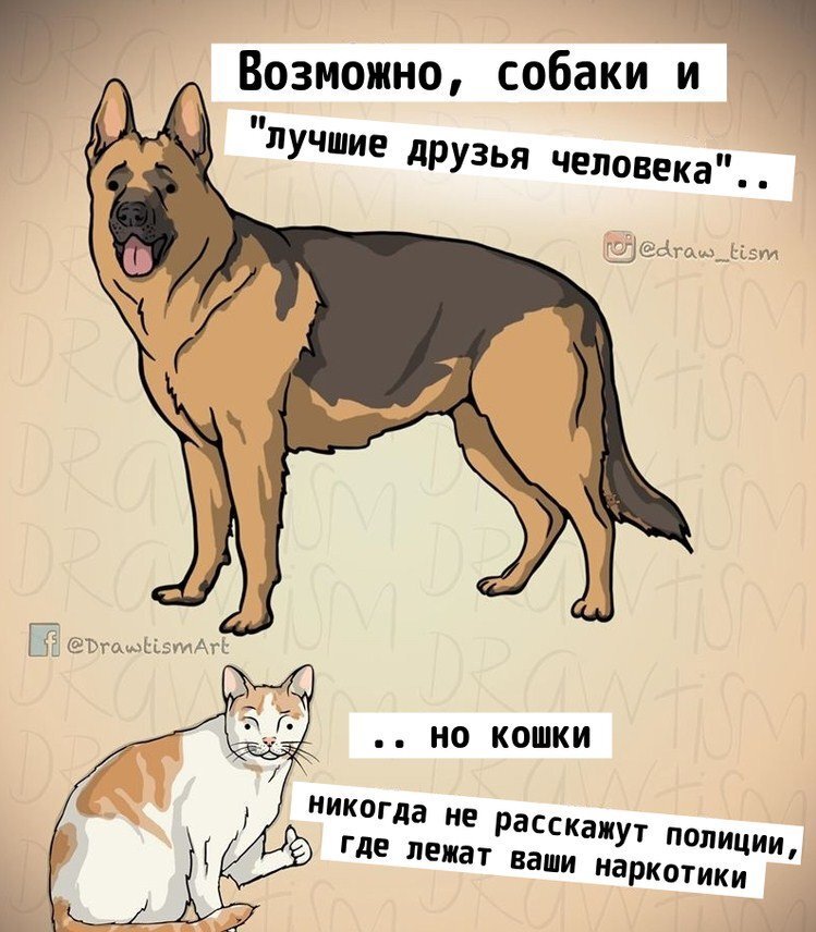 Выбирай правильного питомца ;) - Собака, Кот, Наркотики, Картинка с текстом