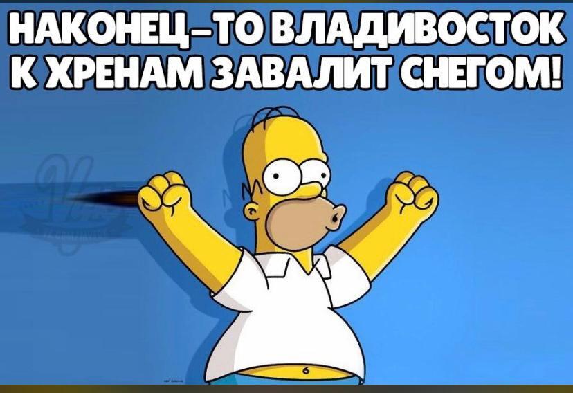 On December 21-23, heavy snow, wind, blizzard, fast ice breaking are expected in the region. Traveling outside settlements and going out on ice is dangerous - My, Vladivostok, Winter, Homer Simpson, Tinsmith's Day