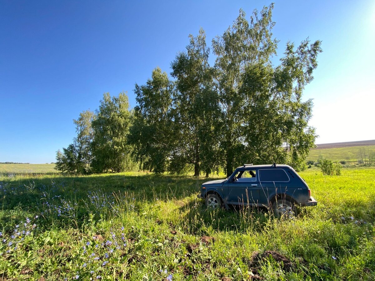 Один день поисковика по заброшкам: места, находки, заработки, траты - Моё, Находка, Поиск, Заброшенное, Длиннопост