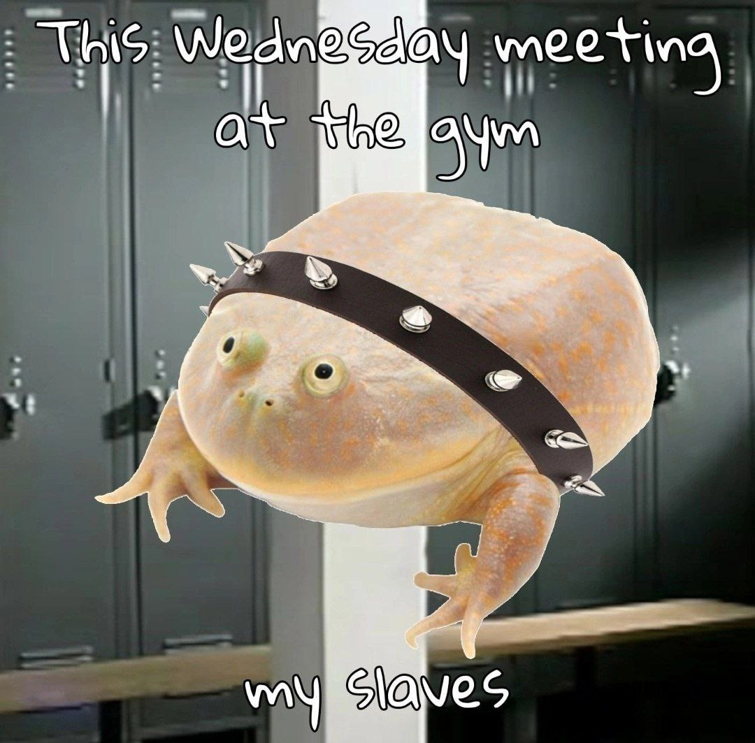 Don't forget to exercise, my dudes! - It Is Wednesday My Dudes, Frogs, Toad, Picture with text