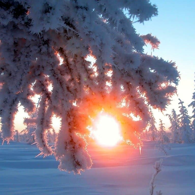 Sun - Solstice, Winter Solstice, Winter, Day, The sun