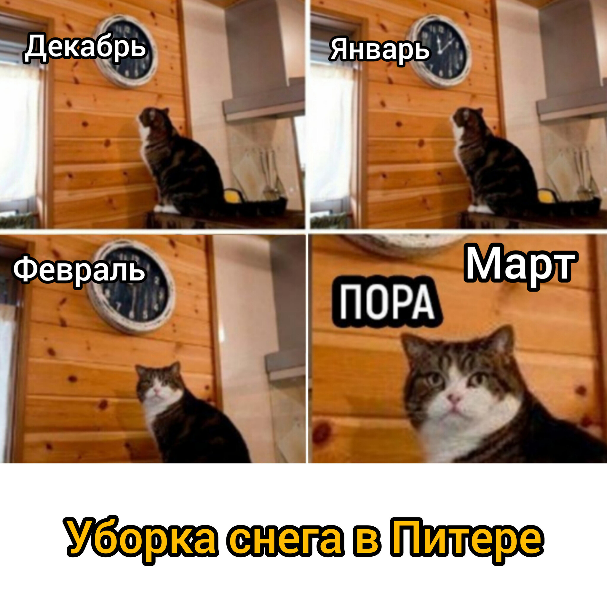 Ответ на пост «Про уборку снега в СПб » - Снег, Санкт-Петербург, Юмор, Мемы, Ответ на пост, Кот