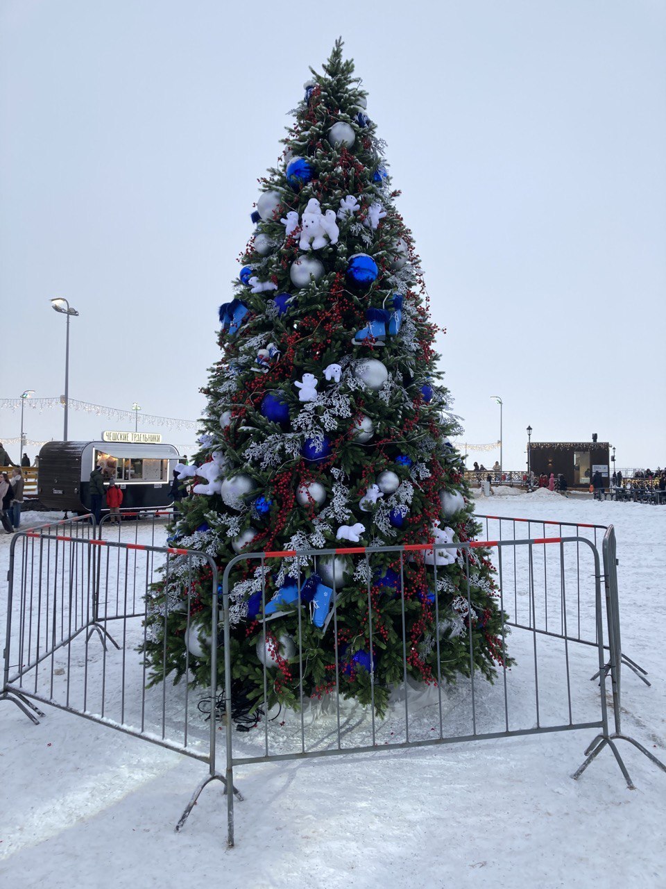 Christmas trees in different places - My, Saint Petersburg, Christmas tree, Christmas trees, New Year, Longpost