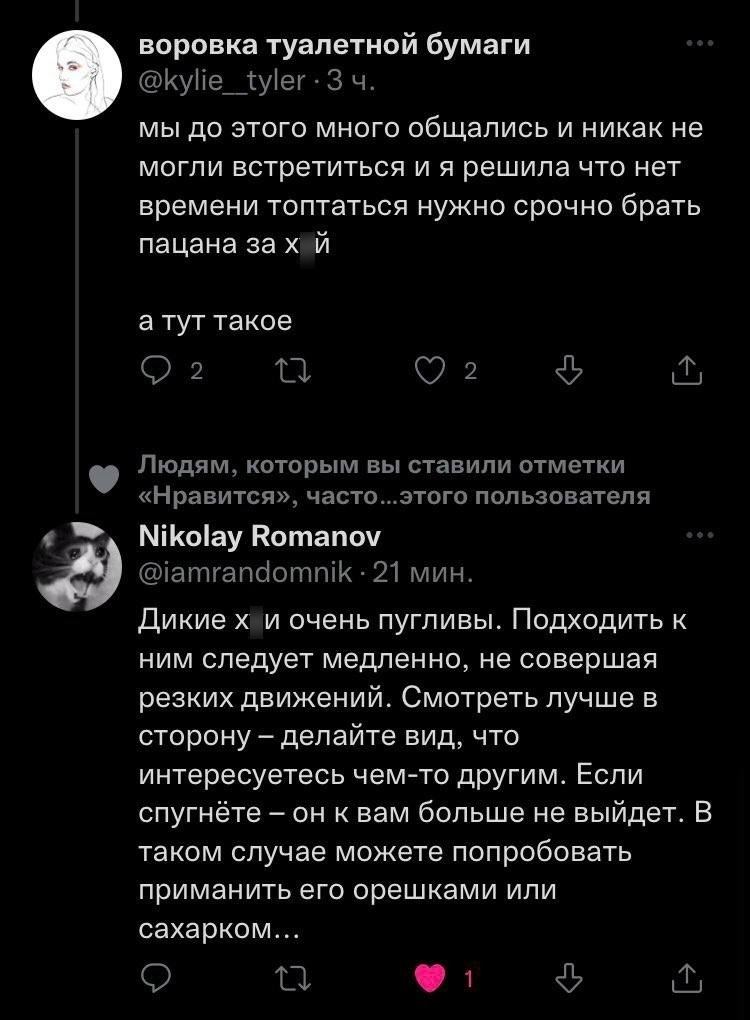 Дикий куй - Скриншот, Картинки, Испуг, Мат, Twitter