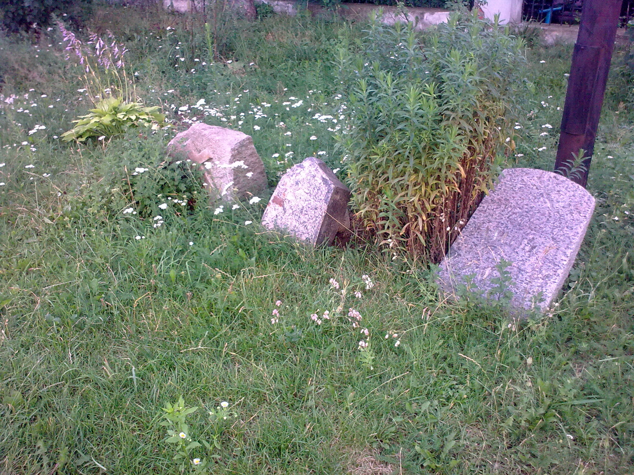 Remains of the cemetery near the Church of the Holy Trinity (St. Roch) in Minsk - People, Thoughts, Cemetery, Grave, Memories, A life