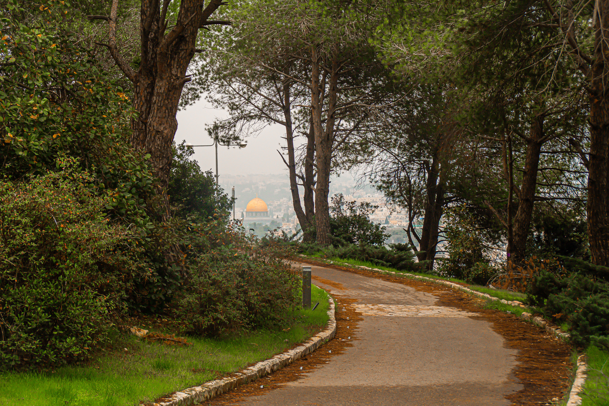 Winter Jerusalem - My, Israel, Winter