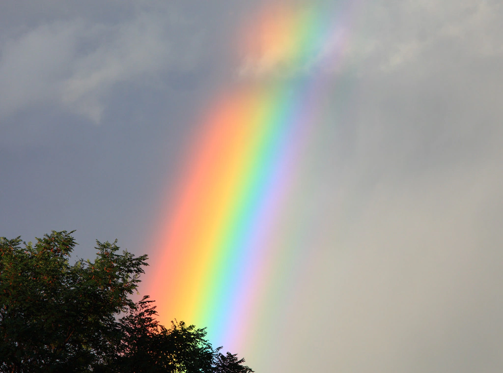 Rainbow - Rainbow, The photo