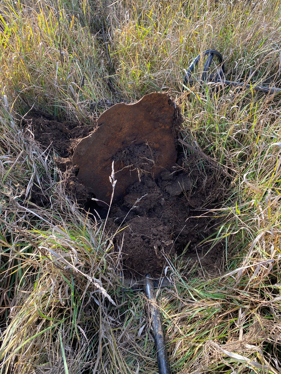 Searches with a metal detector at the place where there was a large lake - My, Find, Search, Lake, Spoon, Longpost, The photo