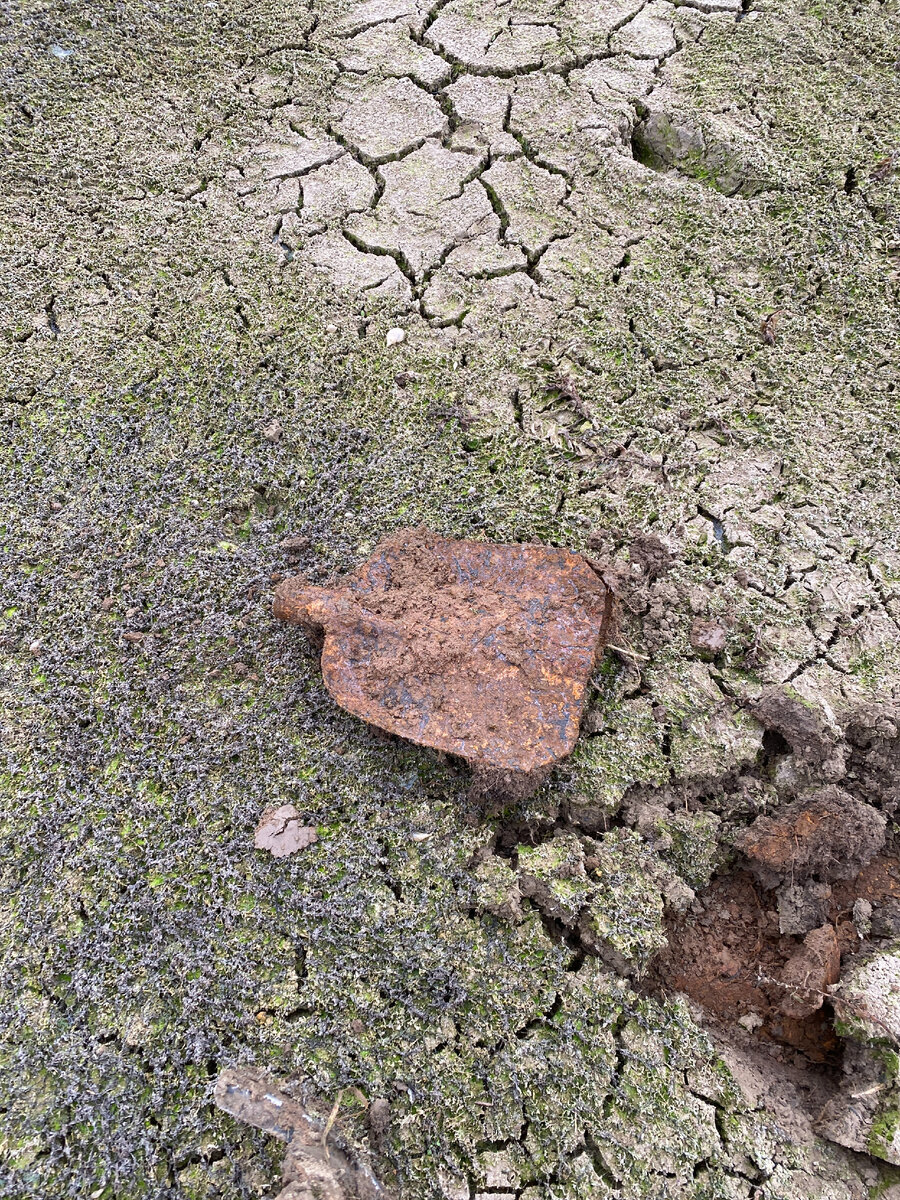 Searches with a metal detector at the place where there was a large lake - My, Find, Search, Lake, Spoon, Longpost, The photo