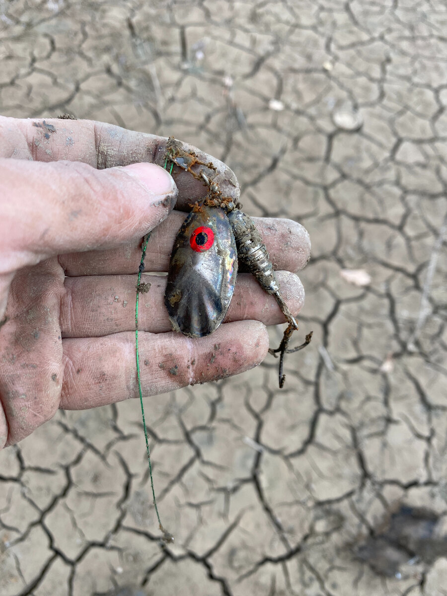 Searches with a metal detector at the place where there was a large lake - My, Find, Search, Lake, Spoon, Longpost, The photo