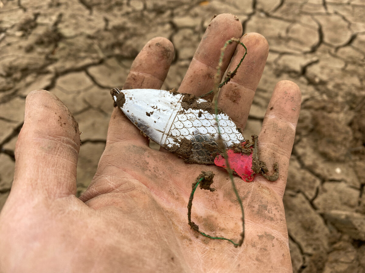 Searches with a metal detector at the place where there was a large lake - My, Find, Search, Lake, Spoon, Longpost, The photo