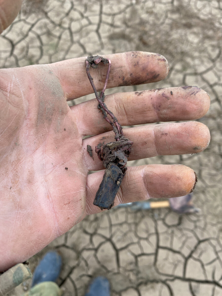 Searches with a metal detector at the place where there was a large lake - My, Find, Search, Lake, Spoon, Longpost, The photo