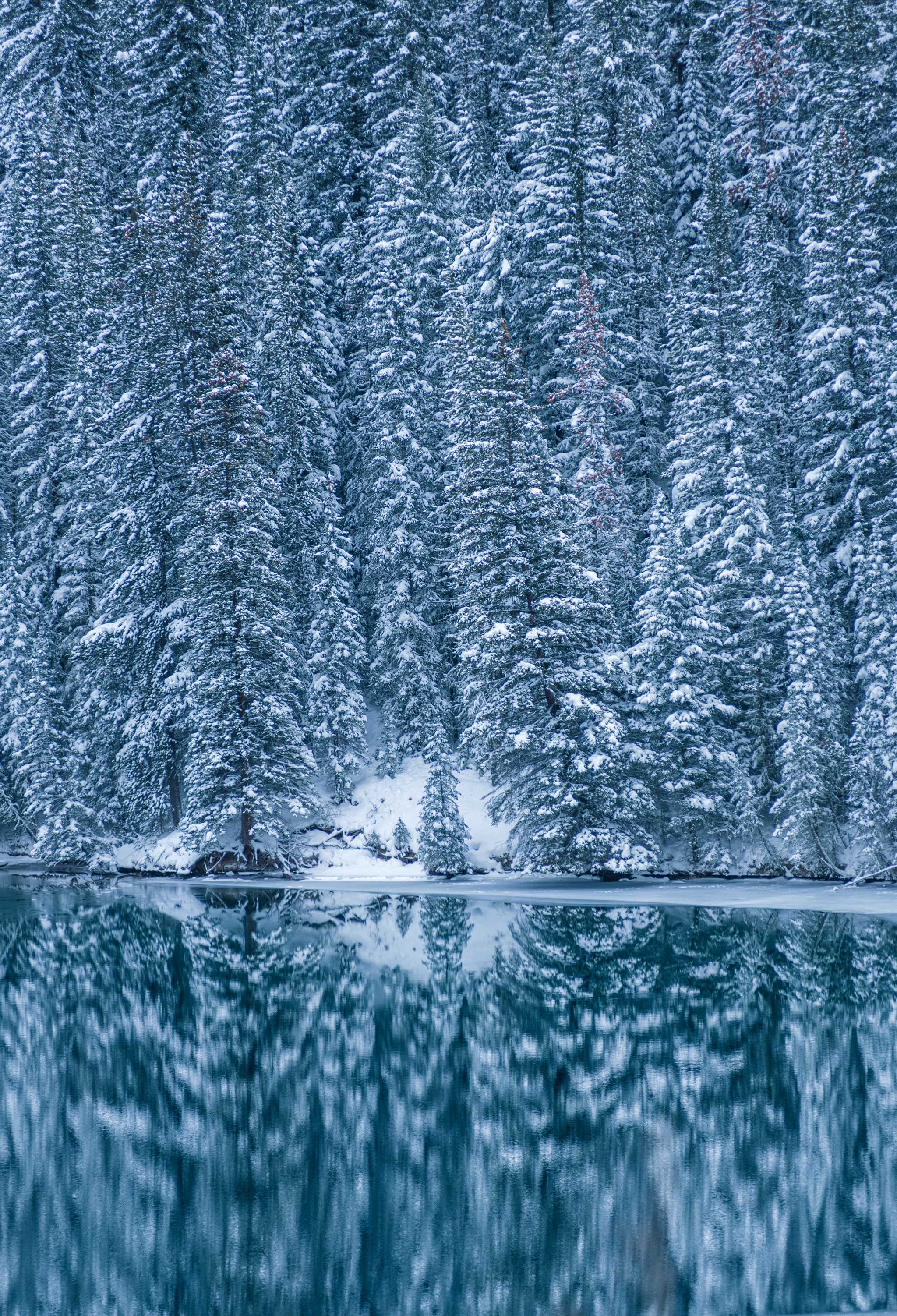 winter pattern - The photo, Forest, Snow, Winter, Lake, Reflection, Canada