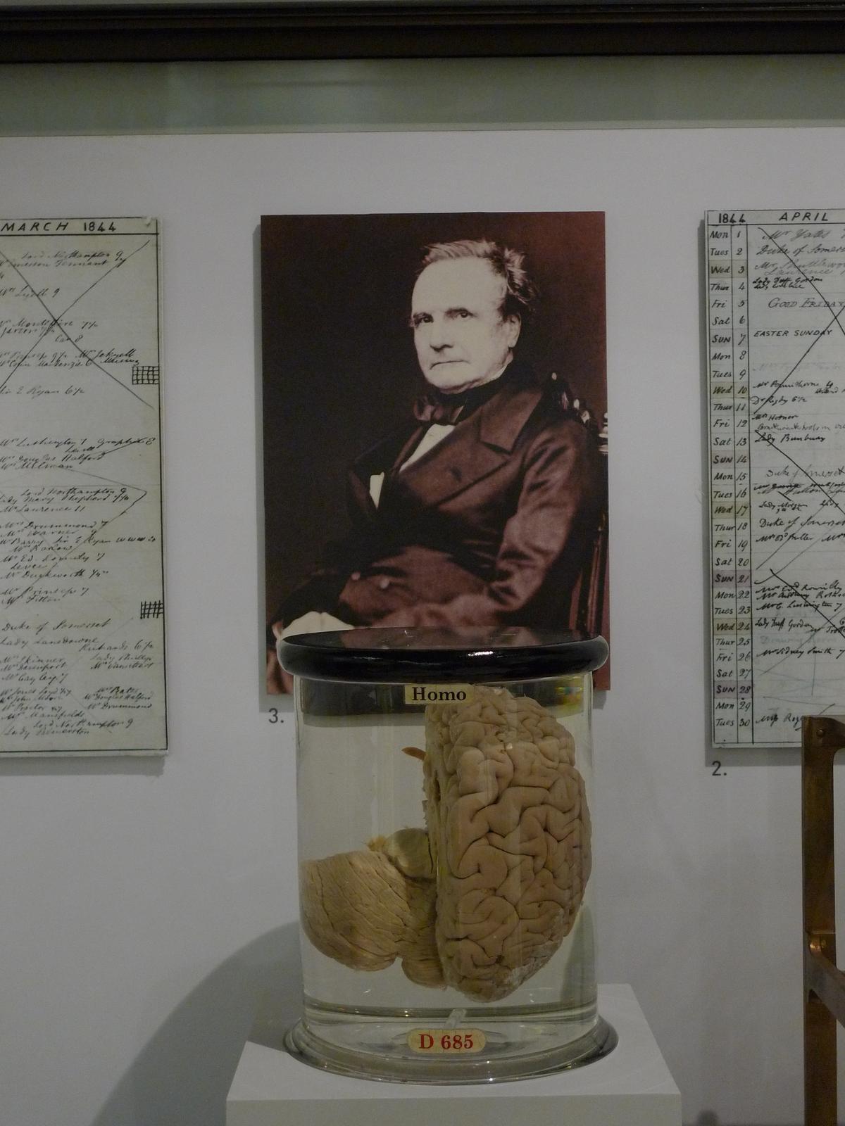 Underestimation of the father of the computer Charles Babbage by contemporaries - Charles Babbage, Computer, Creative people, Birthday, Youtube, Longpost