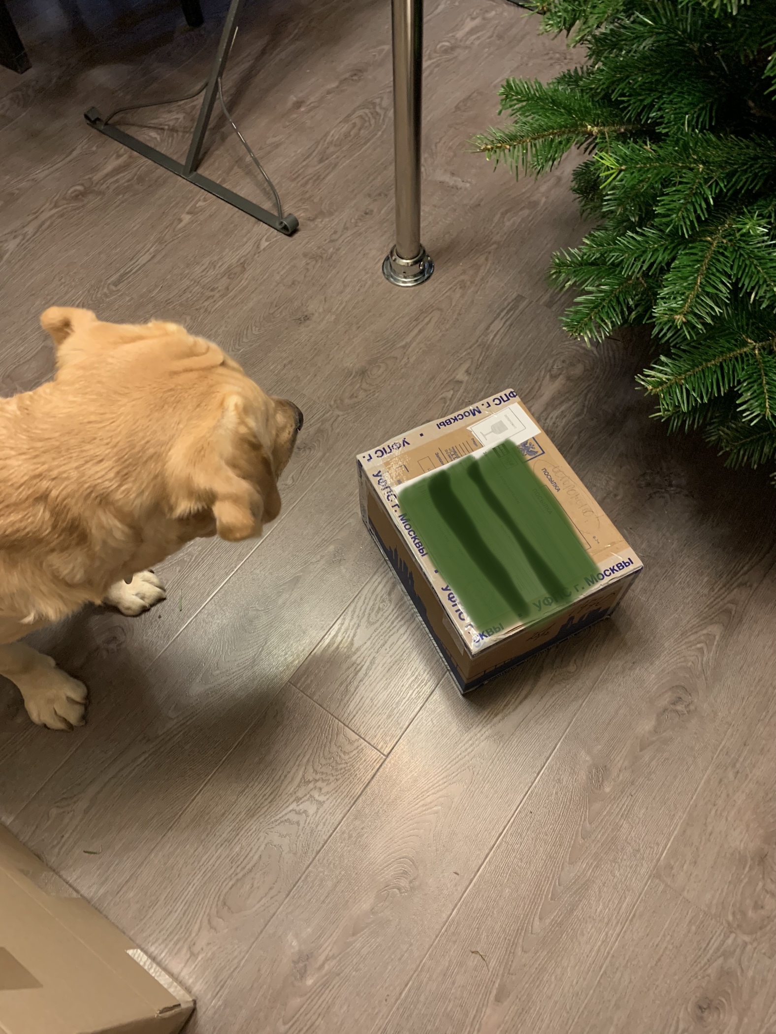 My sudden non-A DM - Moscow -> Moscow - Secret Santa, Dog, Gift exchange, Joy, Longpost