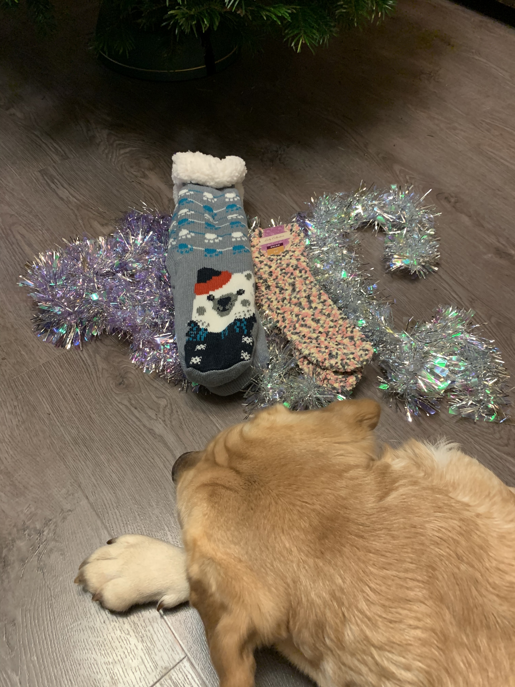 My sudden non-A DM - Moscow -> Moscow - Secret Santa, Dog, Gift exchange, Joy, Longpost