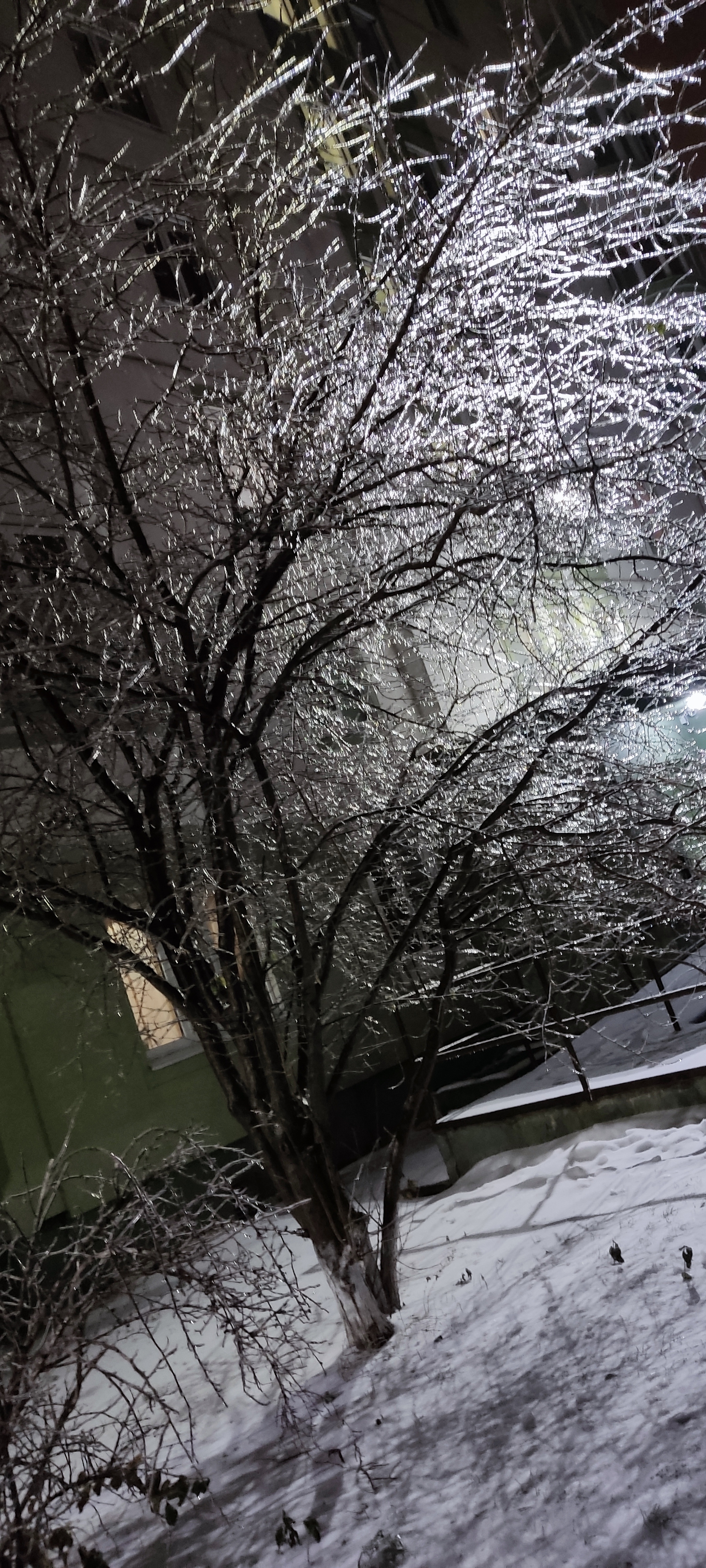 freezing rain - My, Freezing rain, Mobile photography, Lamp, Ice
