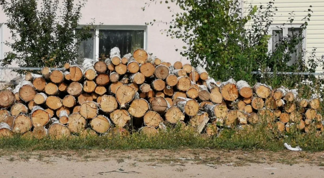 NYT: Germany's energy crisis is a signal to chop wood and stock up - Politics, European Union, Gas, Russia, Germany, Firewood, Translated by myself, news