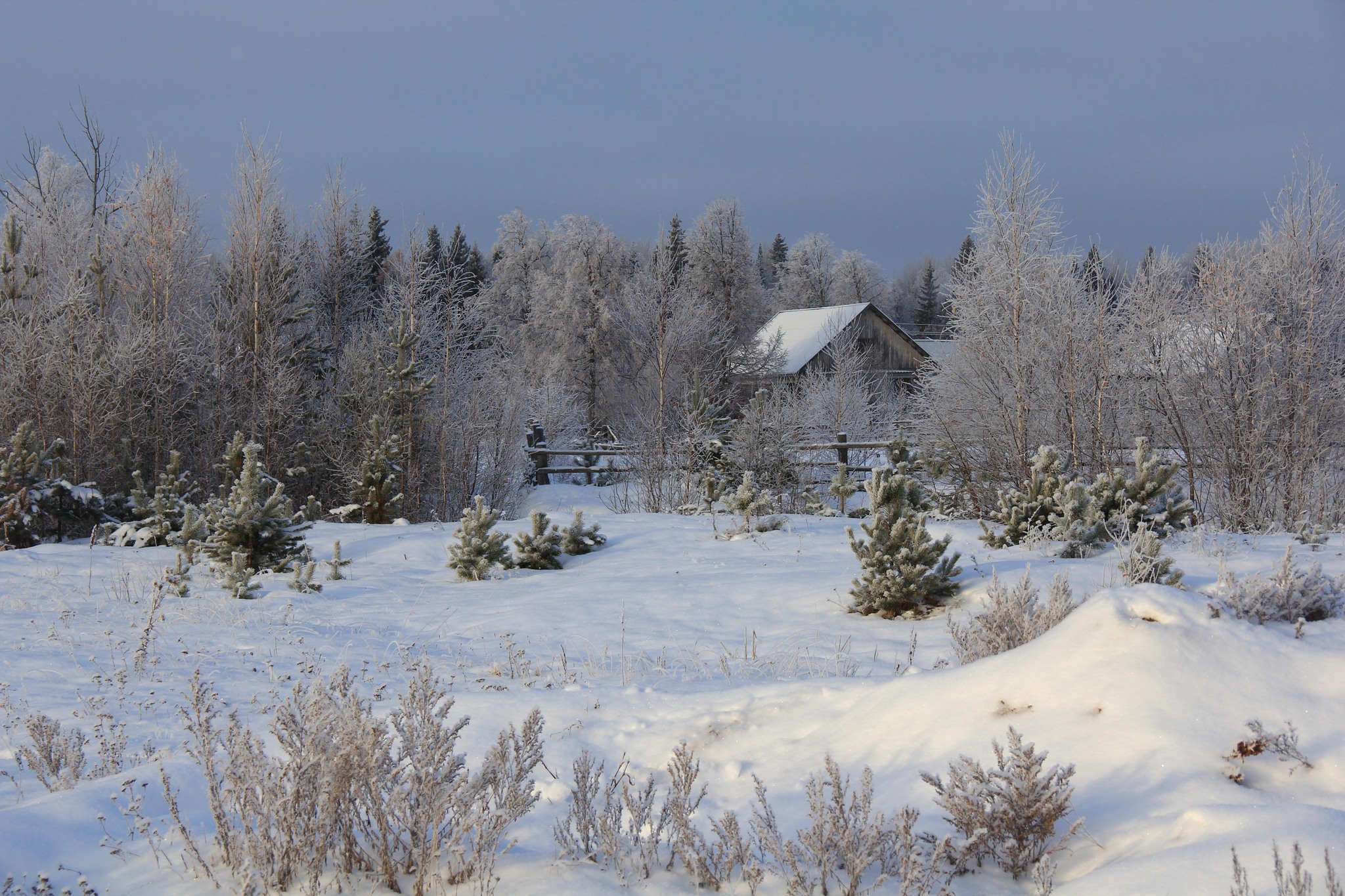 -30 (Omsk region, Ust-Ishim village) - My, Village, Village, Winter, freezing, Siberia, Snow, Omsk region, Nature, The photo