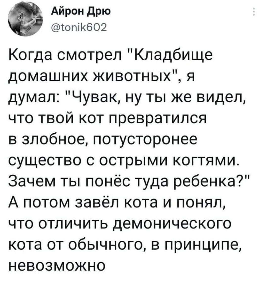 Котики все такие - Скриншот, Twitter, Кот, Кладбище домашних животных Стивена Кинга