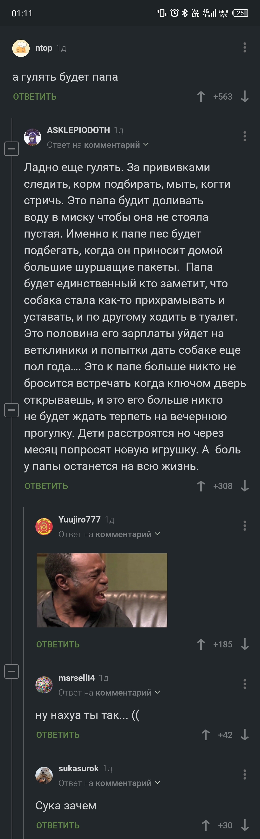 Заботы о собаке - Комментарии, Комментарии на Пикабу, Скриншот, Собака, Забота, Длиннопост, Смерть