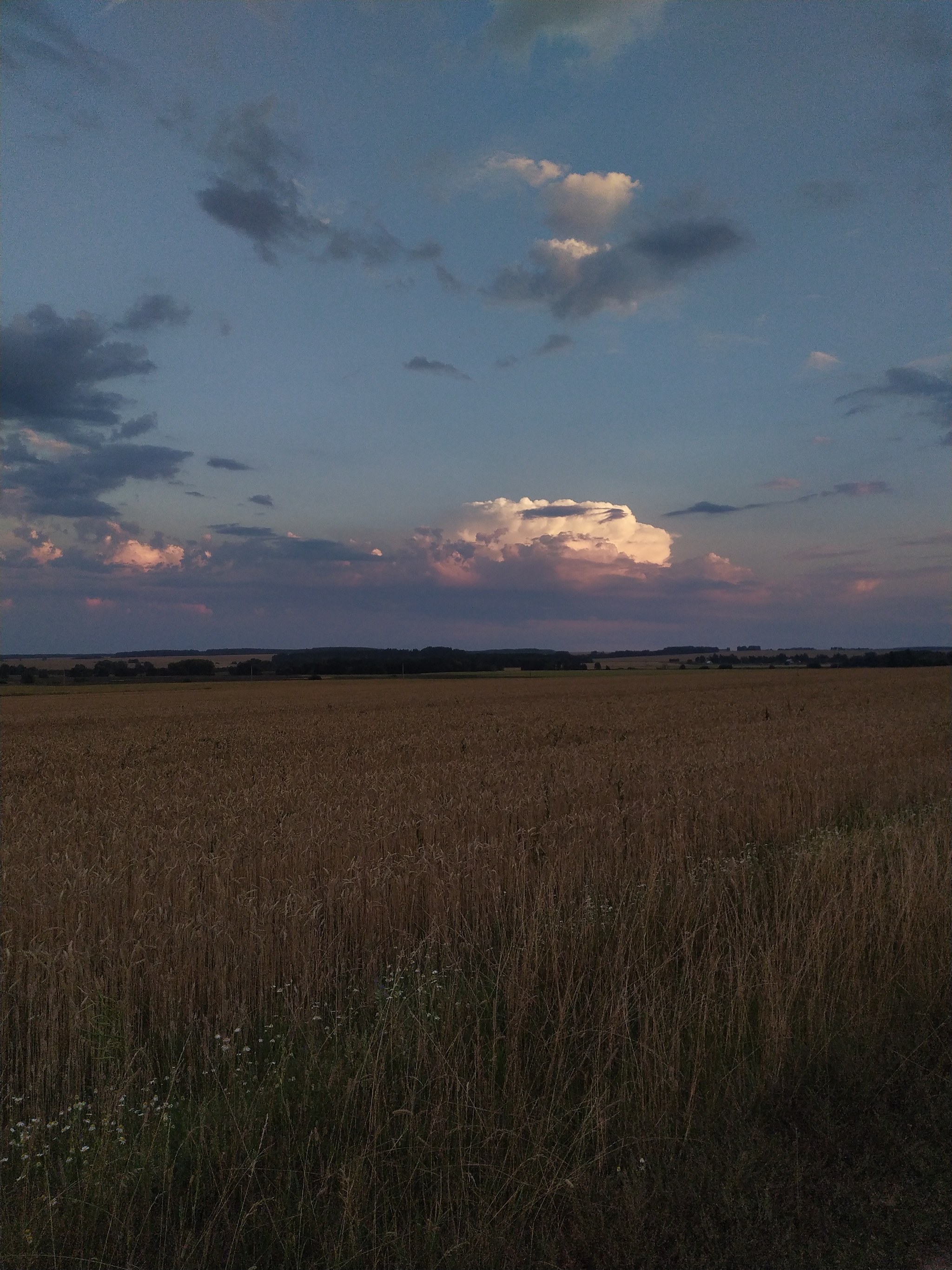 Anvil of Distant Storm - The photo, Moscow region, Thunderstorm, Anvil, Images