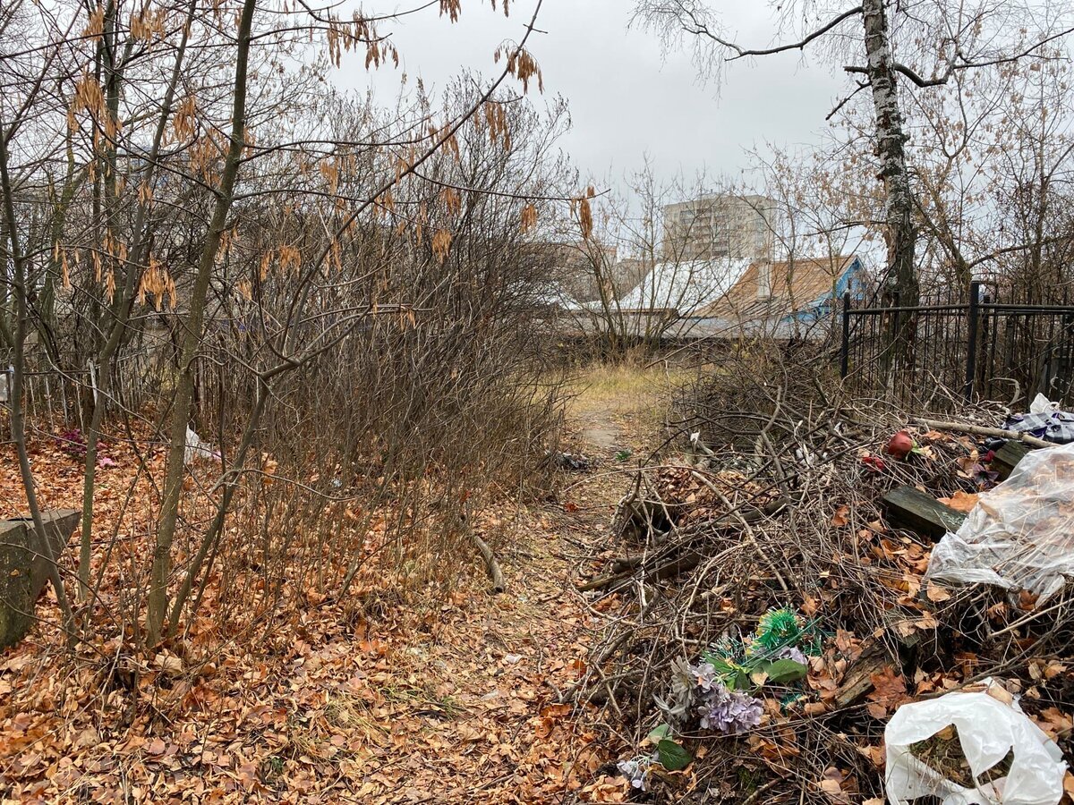 Показываю, как живут БОМЖи на закрытом городском кладбище. Расположились  прямо на могилах | Пикабу