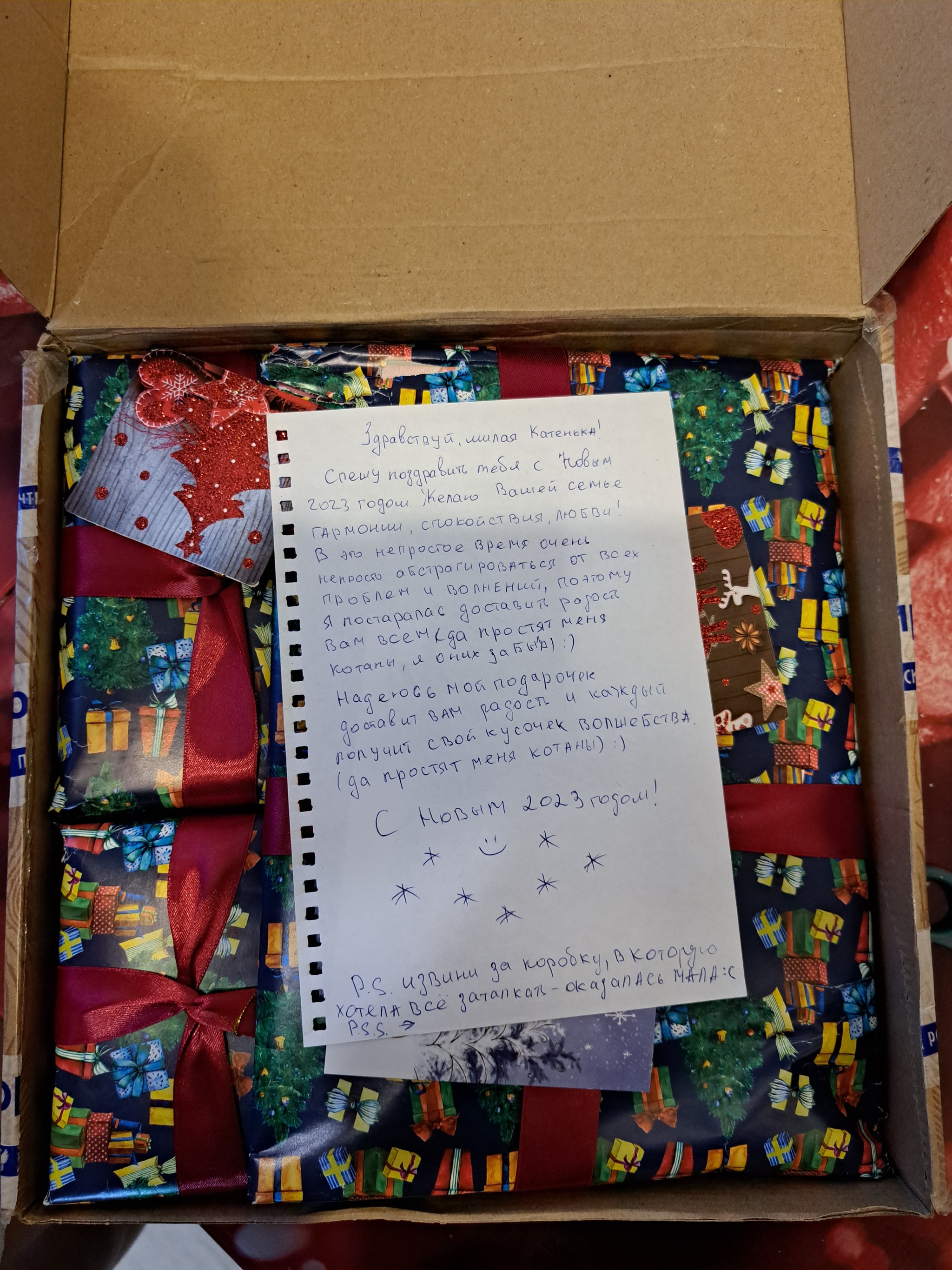 ADM Novosibirsk-Usinsk - My, Secret Santa, New Year, Longpost, Gift exchange