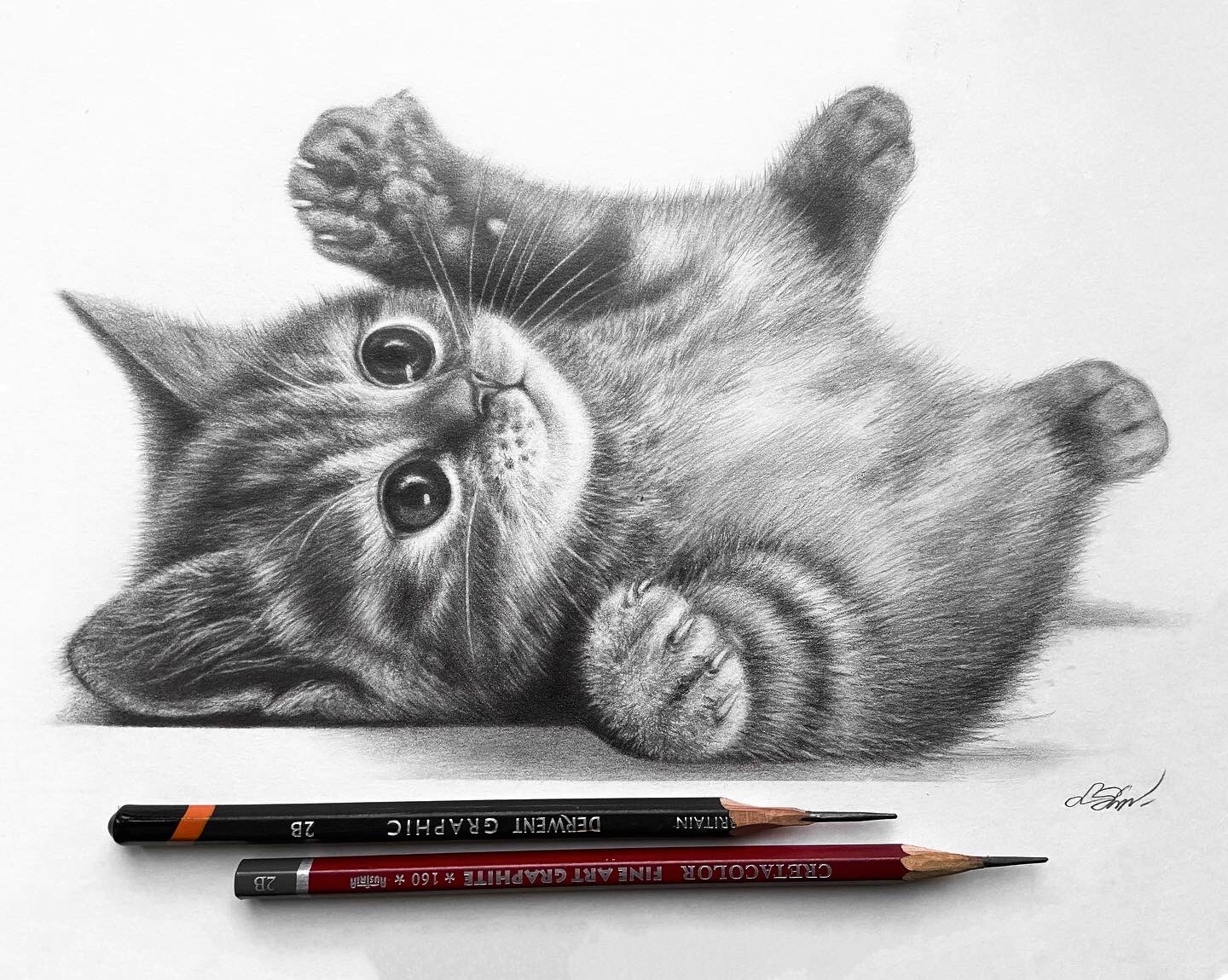 Positive realism in graphics - My, Pencil drawing, Graphics, cat, Kittens, Hobby