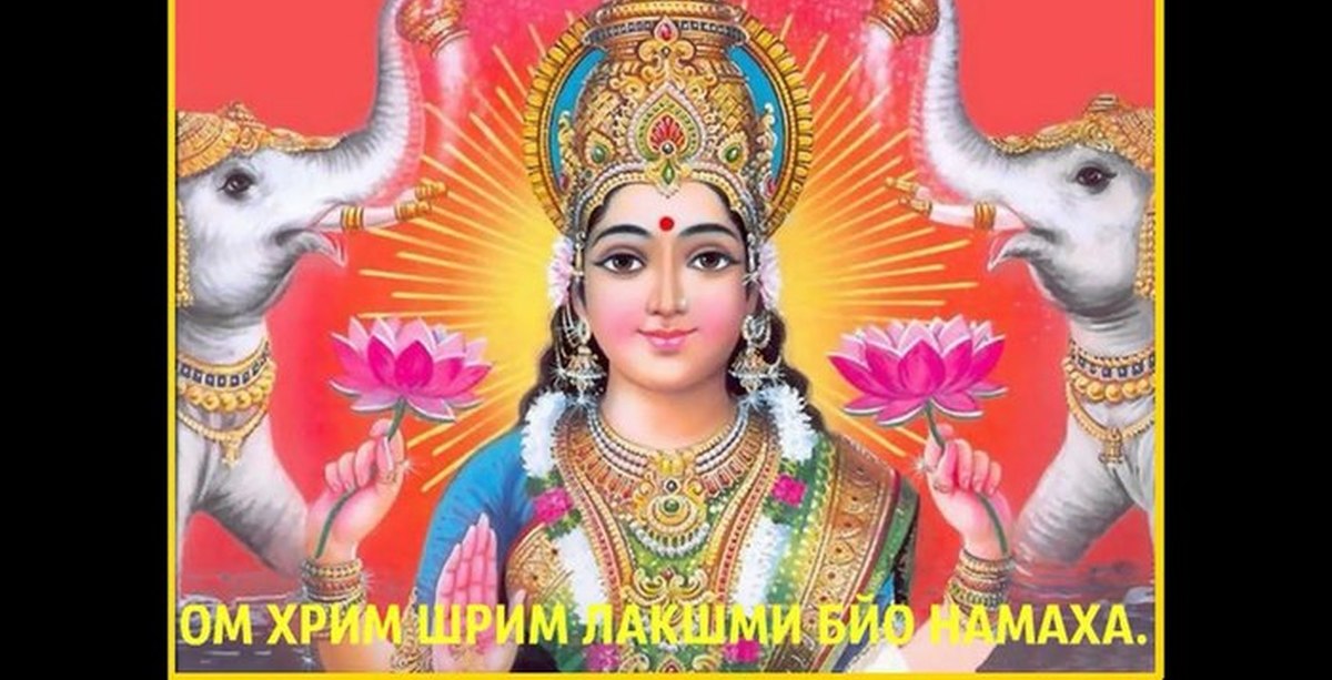 Вилама лакшми. Вилама лакшми он же босс. Вилама лакшми. Вилама рус. Вилама лакшми расплата.