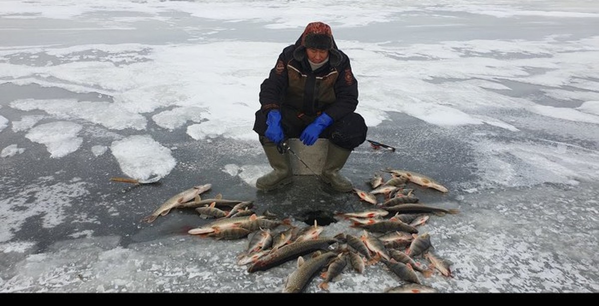 Рыбалка в якутии зимой 2020. Мунха в Якутии. Клёвая рыбалка в Якутии 2021. Зимняя рыбалка в Якутии. Зимняя рыбалка в якутти.