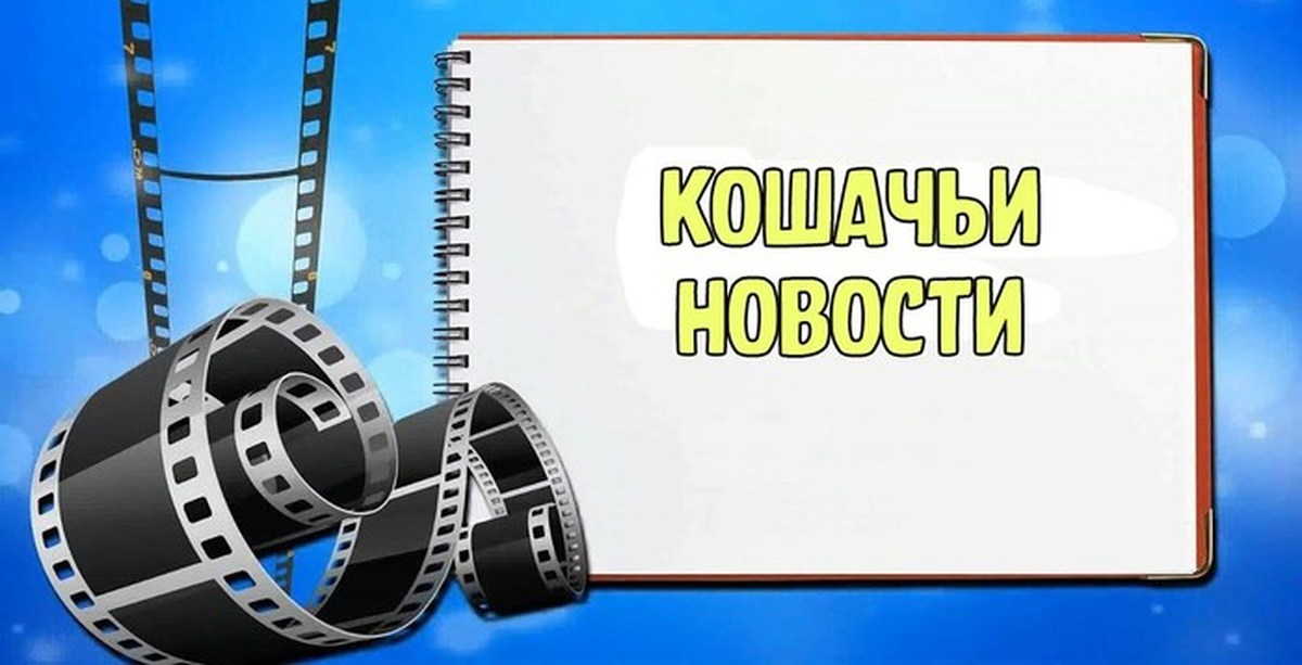 Мастер представляет. Слайд шоу презентация. Видеоролик презентация. Визитка слайд шоу. Презентация шоу.