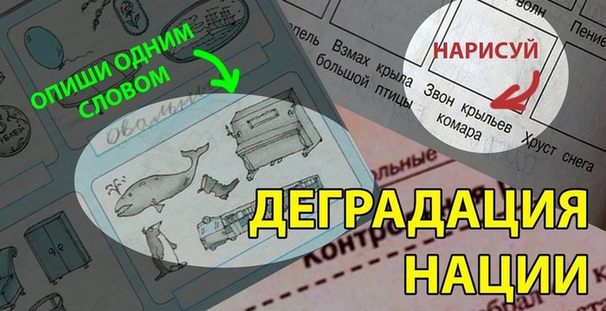 Образование деградирует. Деградация образования. Деградация нации. Деградация общества. Деградация заданий.