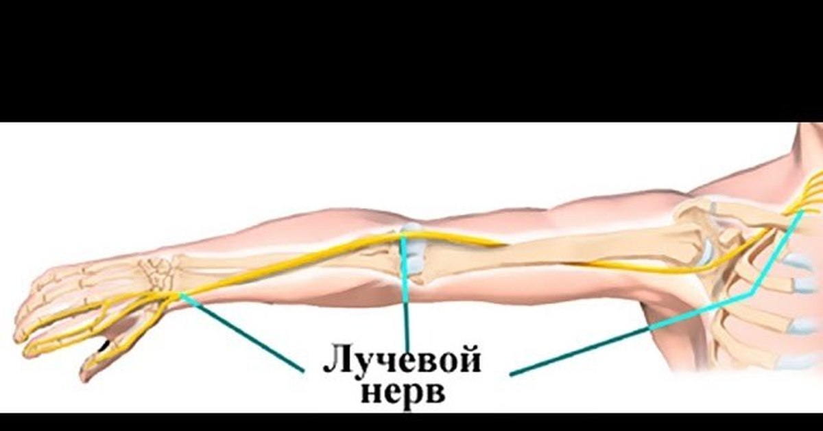Невропатия верхних конечностей. Локтевой нерв лучевой нерв срединный нерв. Лучевой локтевой и срединный нервы. Локтевой нерв анатомия иннервация. Плексит плечевого сплетения клиника.