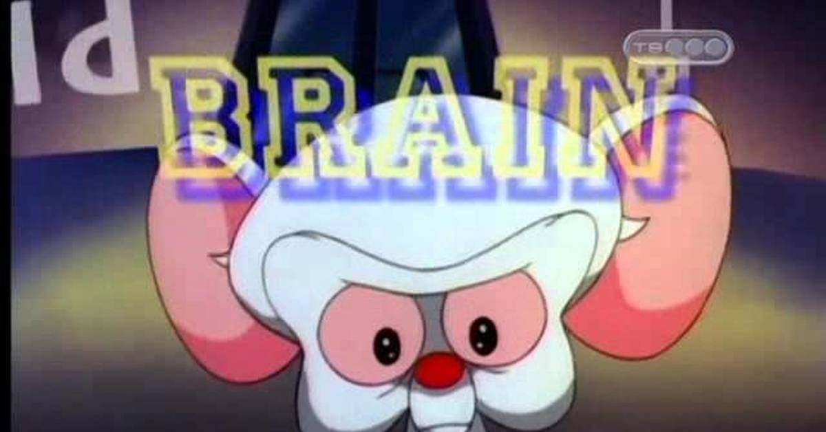 Pinky Giving Brain