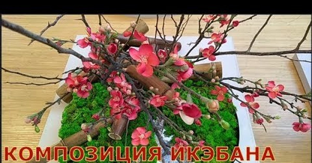 Икебана в Меге Белая дача | Пикабу