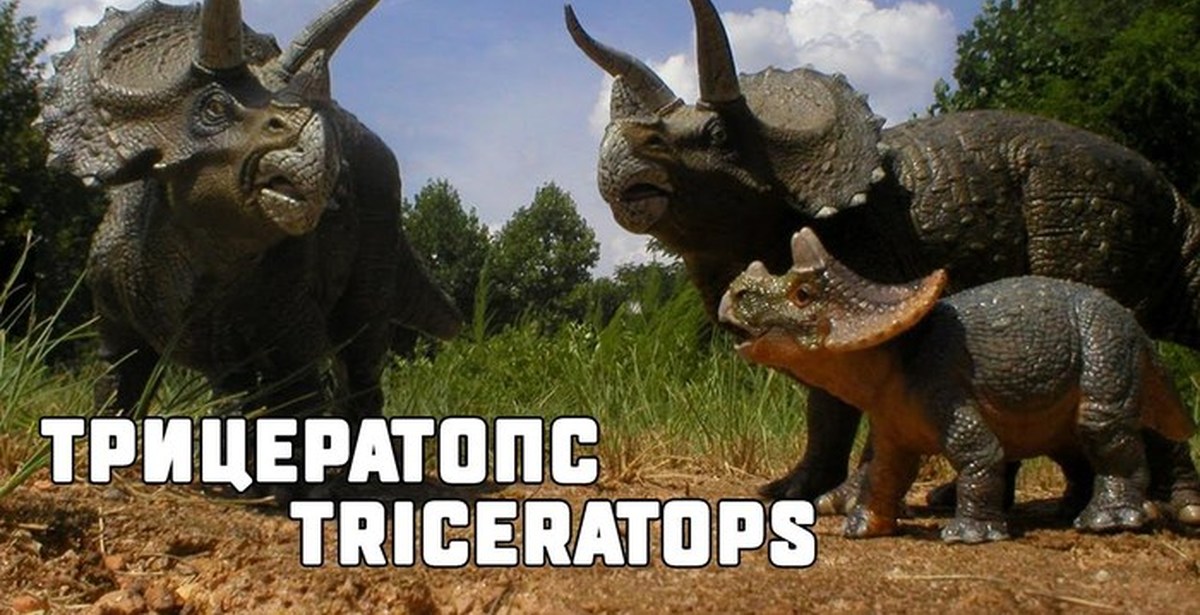 Про трицератопса. Травоядные динозавры Трицератопс. Трицератопс динозавр стадо. Шерстистый Трицератопс. Атрацераптер динозавров.