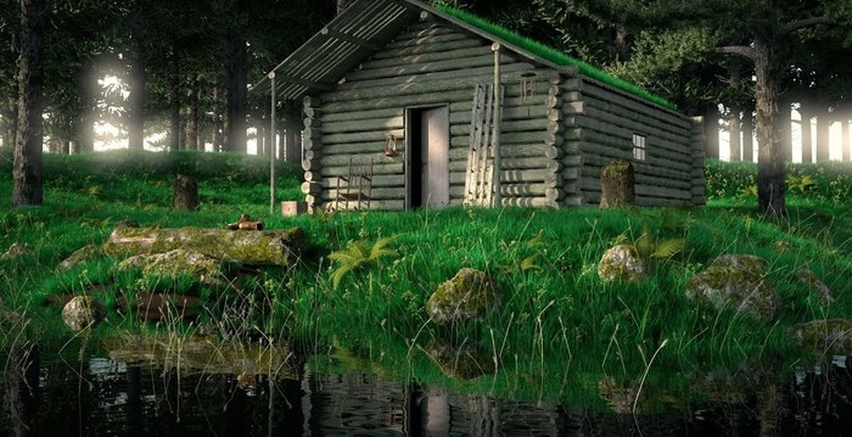 Болотная дом 2. Домик на болоте. Дом возле болота. Деревянный дом на болоте. Избушка на болоте.