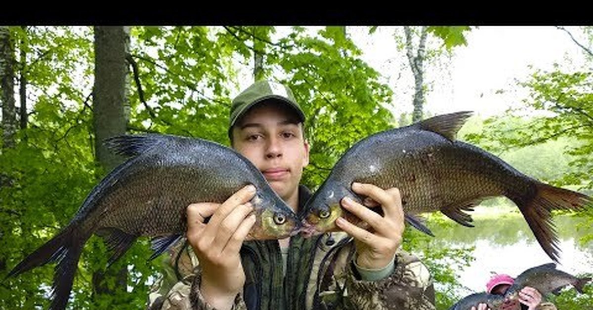 10 kg of bream on the river. Feeder fishing in spring - My, Fishing, Feeder, Catching, Bream, River, Video, Video blog