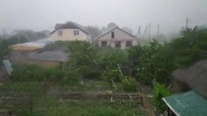 Предпросмотр