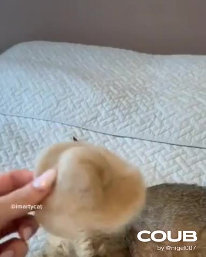 ������������