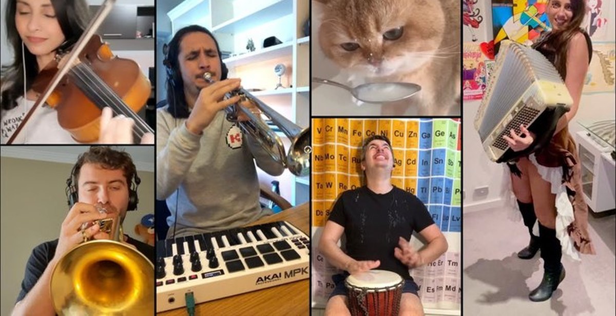 Включи the kiffness. The Kiffness. Исполнитель: the Kiffness. The Kiffness Cat Jams. Kiffness с котом.