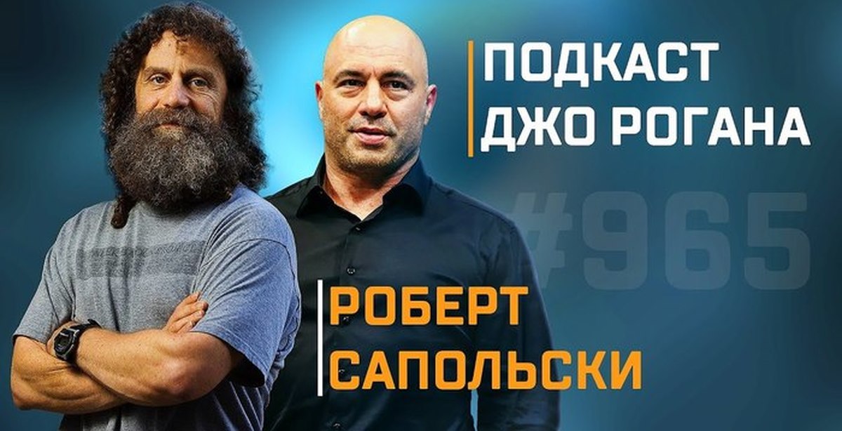 Сапольски свобода воли. Роберт Сапольски. Сапольски в молодости. Роберт Сапольски фото. Кто мы такие Роберт Сапольски.