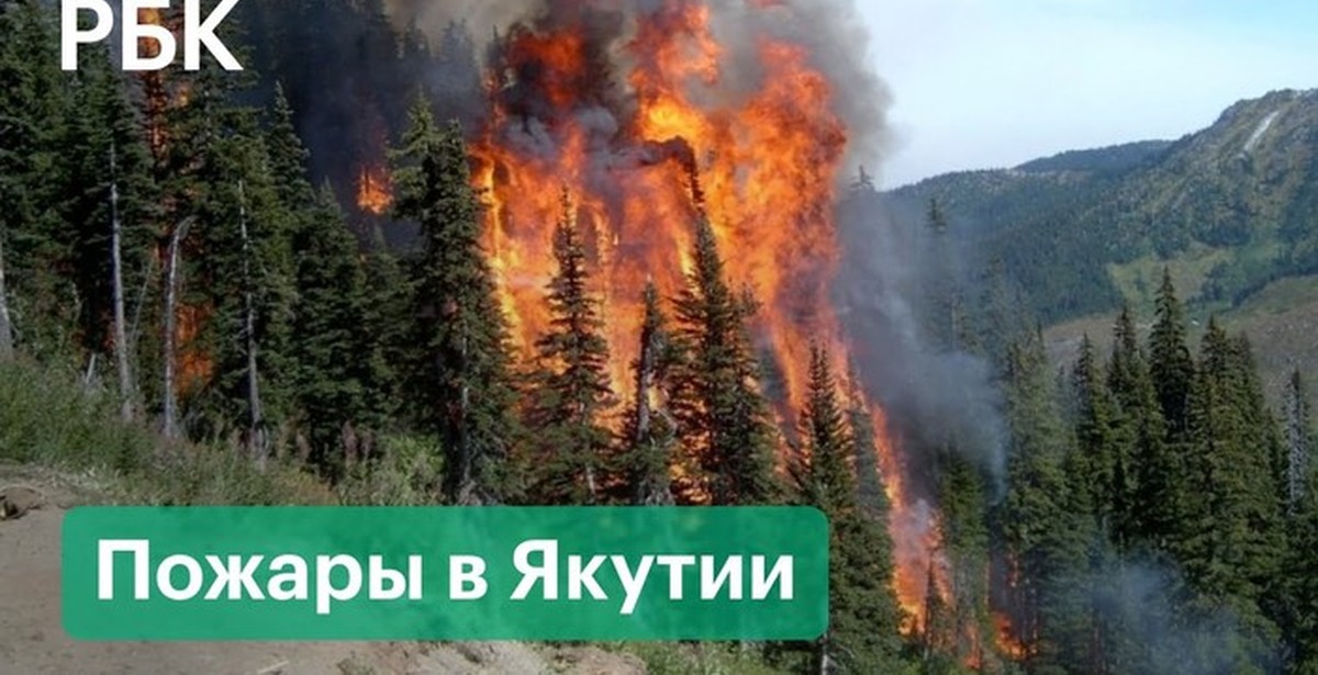 В следствии лесных пожаров. Пожар в лесах Якутии. Горящий лес Якутия. Лесной пожар по площади до 2000 га. Горящий лес Якутия карандашом.