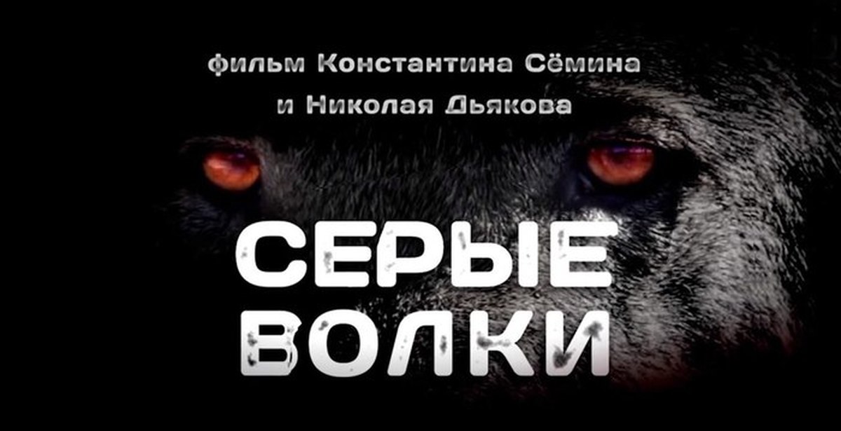 Волки 2016. Серые волки фильм Турция. Турецкие серые волки. Серый Сёмин. Серые волки» (она же — «Бозкурт»).