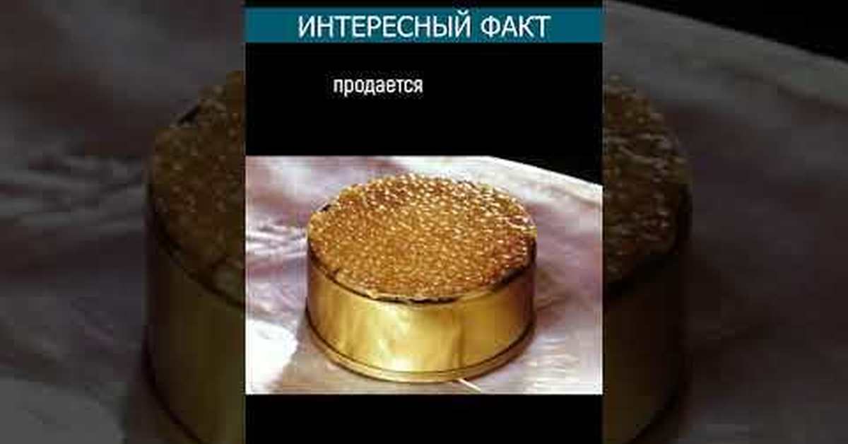 Икра Белуги Альбиноса Цена